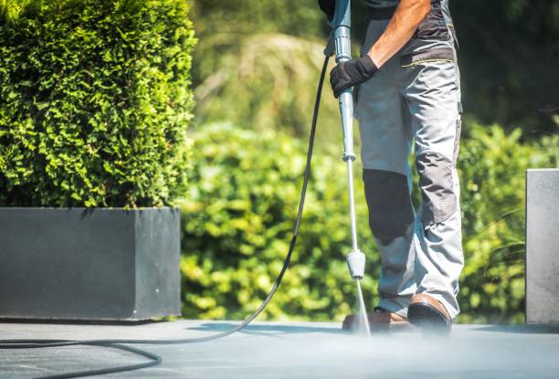Best Fence Cleaning  in Markle, IN